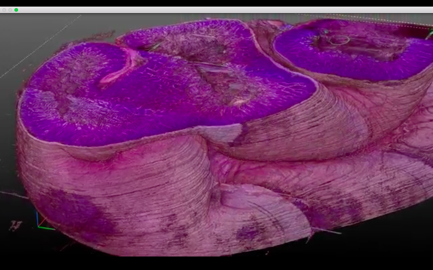 3d tissue map by 3scan